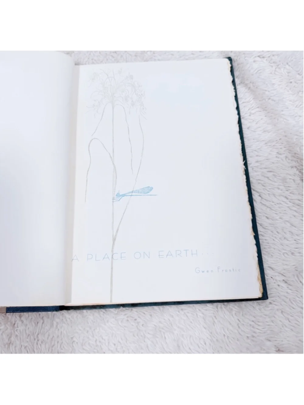 Vintage Gwen Frostic Book Lot Wing-Borne 1967 & A Place On Earth 1962 Illustrate